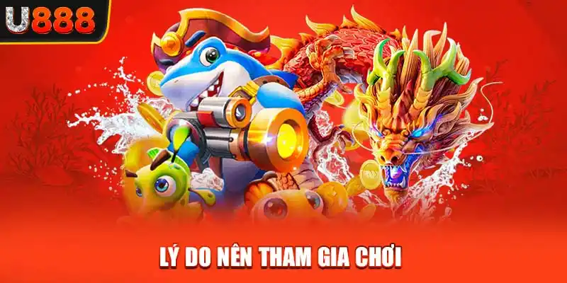 Lý do nên tham gia chơi 