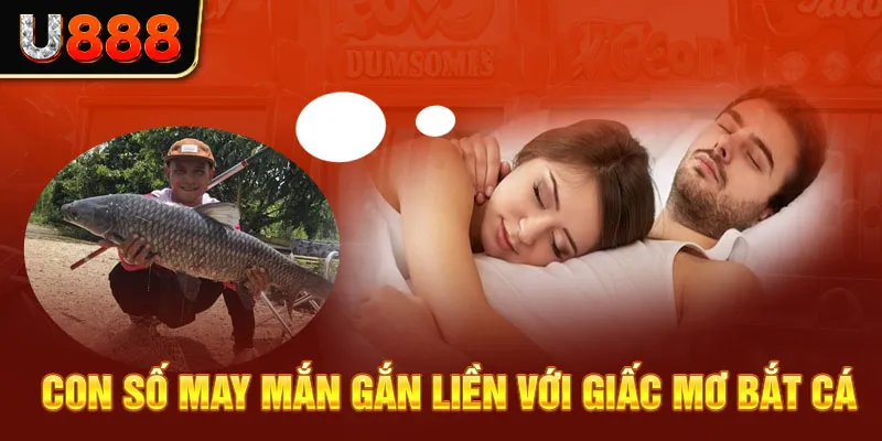 Con số may mắn gắn liền với giấc mơ bắt cá