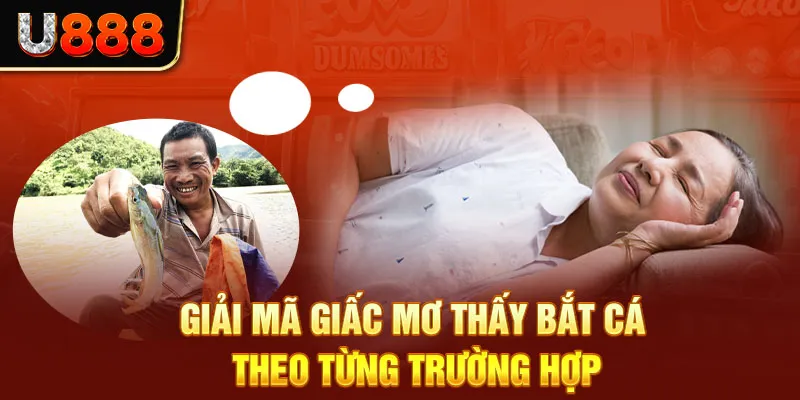 Giải mã giấc mơ thấy bắt cá theo từng trường hợp