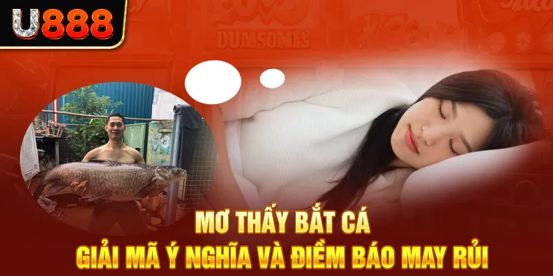 Mơ Thấy Bắt Cá – Giải Mã Ý Nghĩa Và Điềm Báo May Rủi