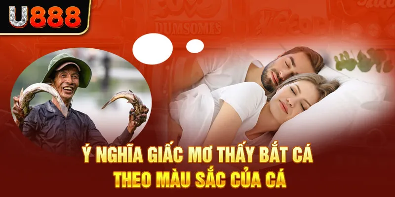 Ý nghĩa giấc mơ thấy bắt cá theo màu sắc của cá